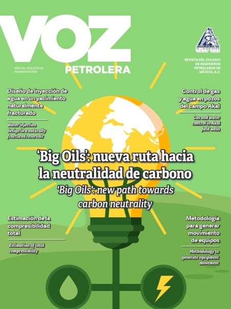 BIG OILS: NUEVA RUTA HACIA LA NEUTRALIDAD DE CARBONO - Septiembre 2020